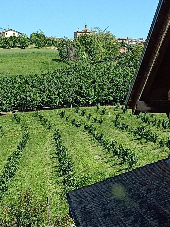 Apartamento Vite Dipinte 1 Bilocale In Langa Novello Exterior foto